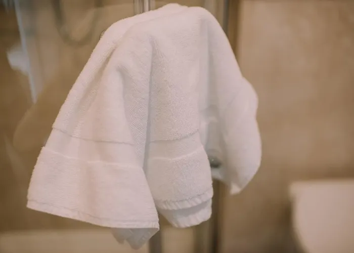 Royal Valentia Hotel Отель 3*