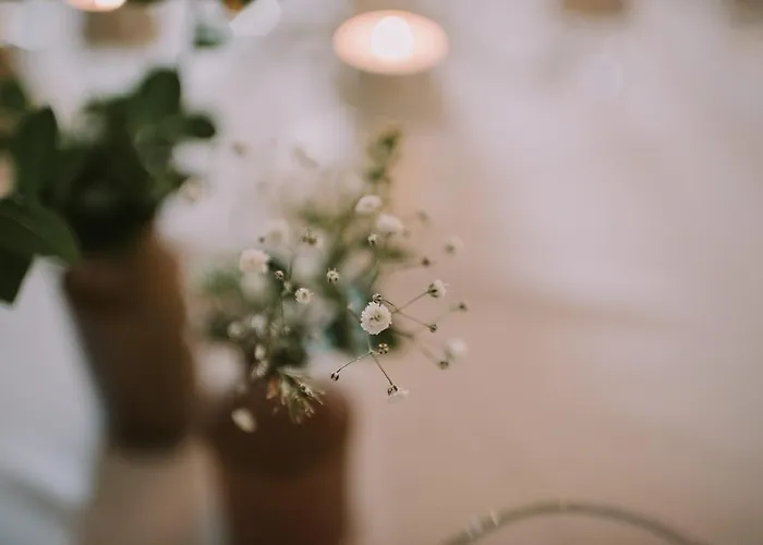 Szálloda Royal Valentia 3*