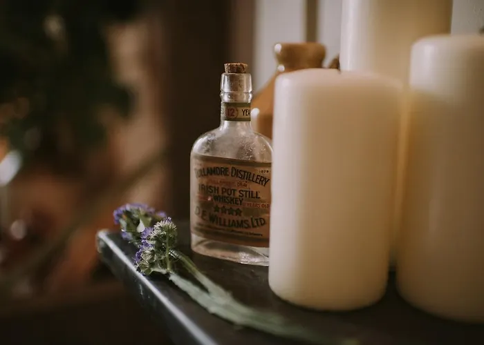 Royal Valentia Knights Town